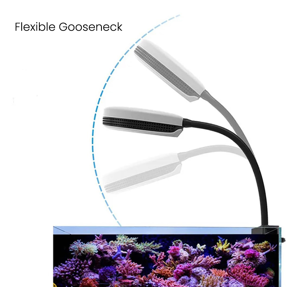 Spectra SP20 110-240V 20W Fres - Aquarium Marine Fishes incelemesi ve fiyatı