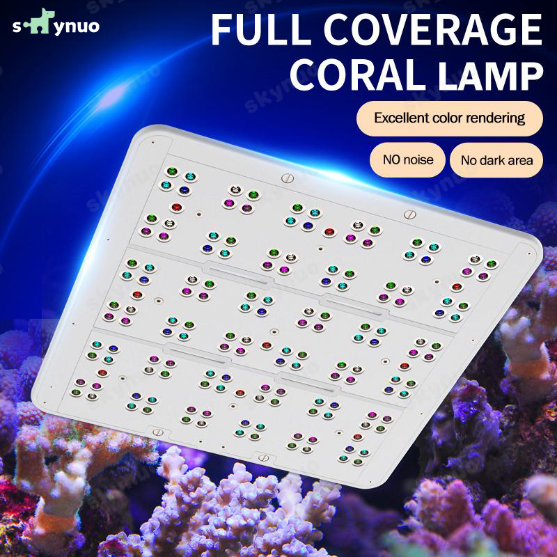 Hot KASSRAY T169/T215 CREEs LE - Aquarium Marine incelemesi ve fiyatı