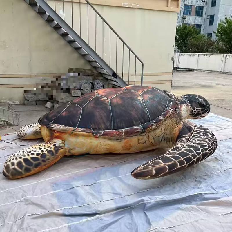 Inflatable sea turtles, Marine - Aquarium Marine Shop incelemesi ve fiyatı