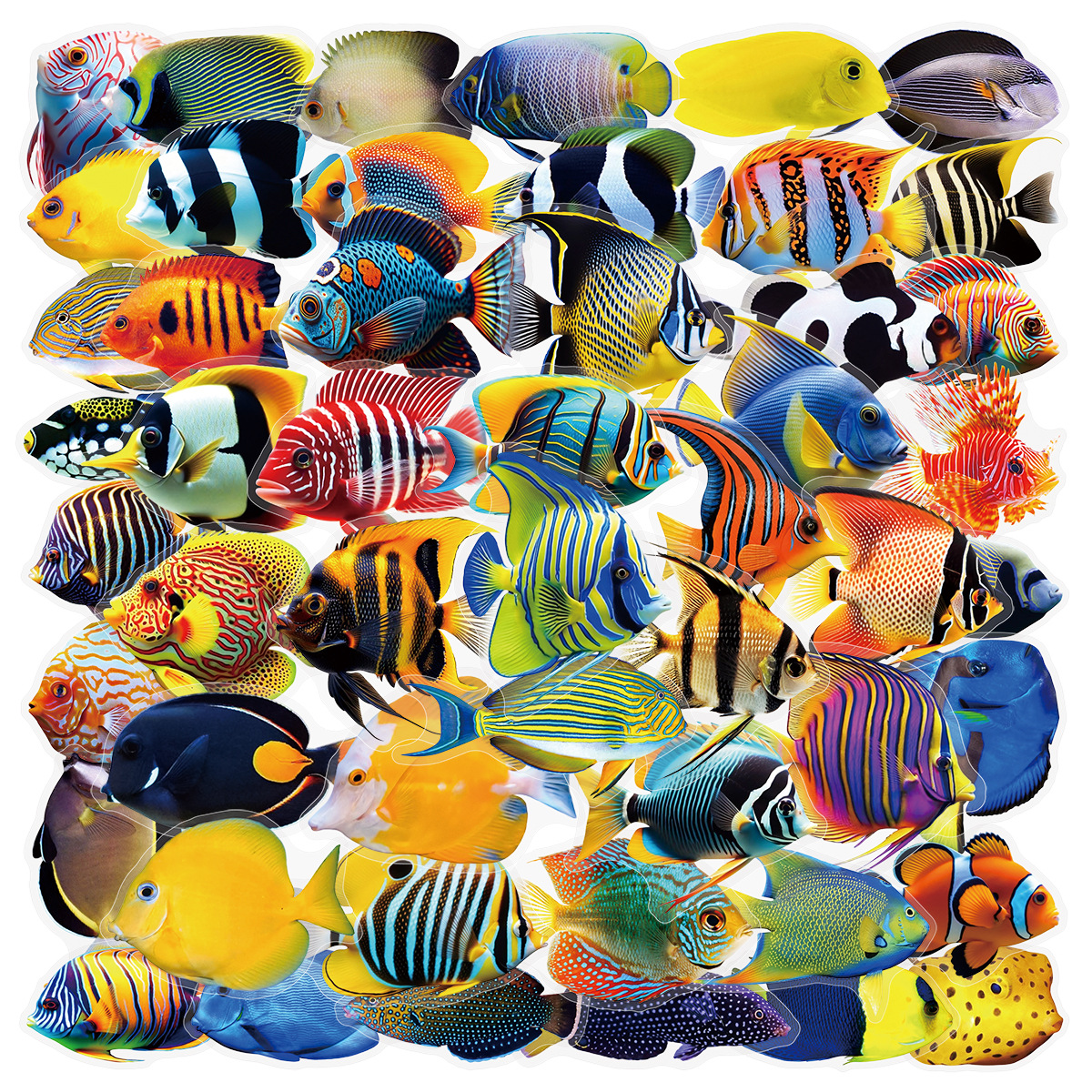 50/100 Pcs PET Transparent Mar - Aquarium Marine Fishes incelemesi ve fiyatı