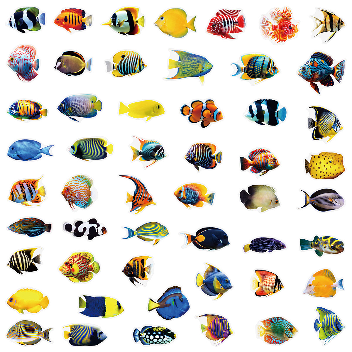 50/100 Pcs PET Transparent Mar - Aquarium Marine Fishes incelemesi ve fiyatı