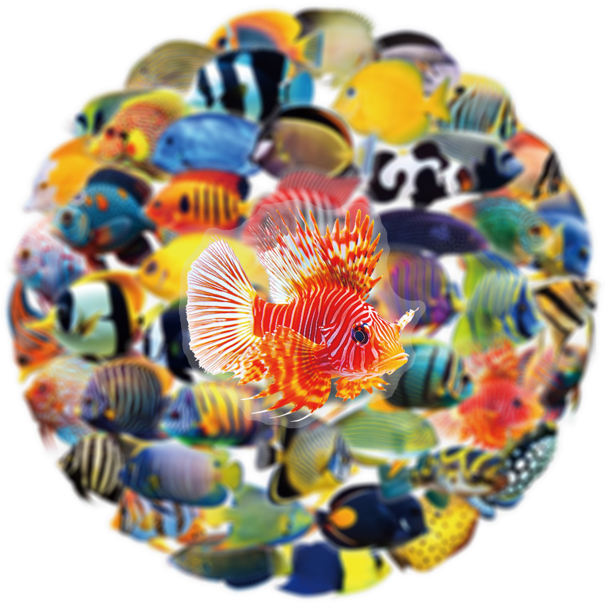50/100 Pcs PET Transparent Mar - Aquarium Marine Fishes incelemesi ve fiyatı