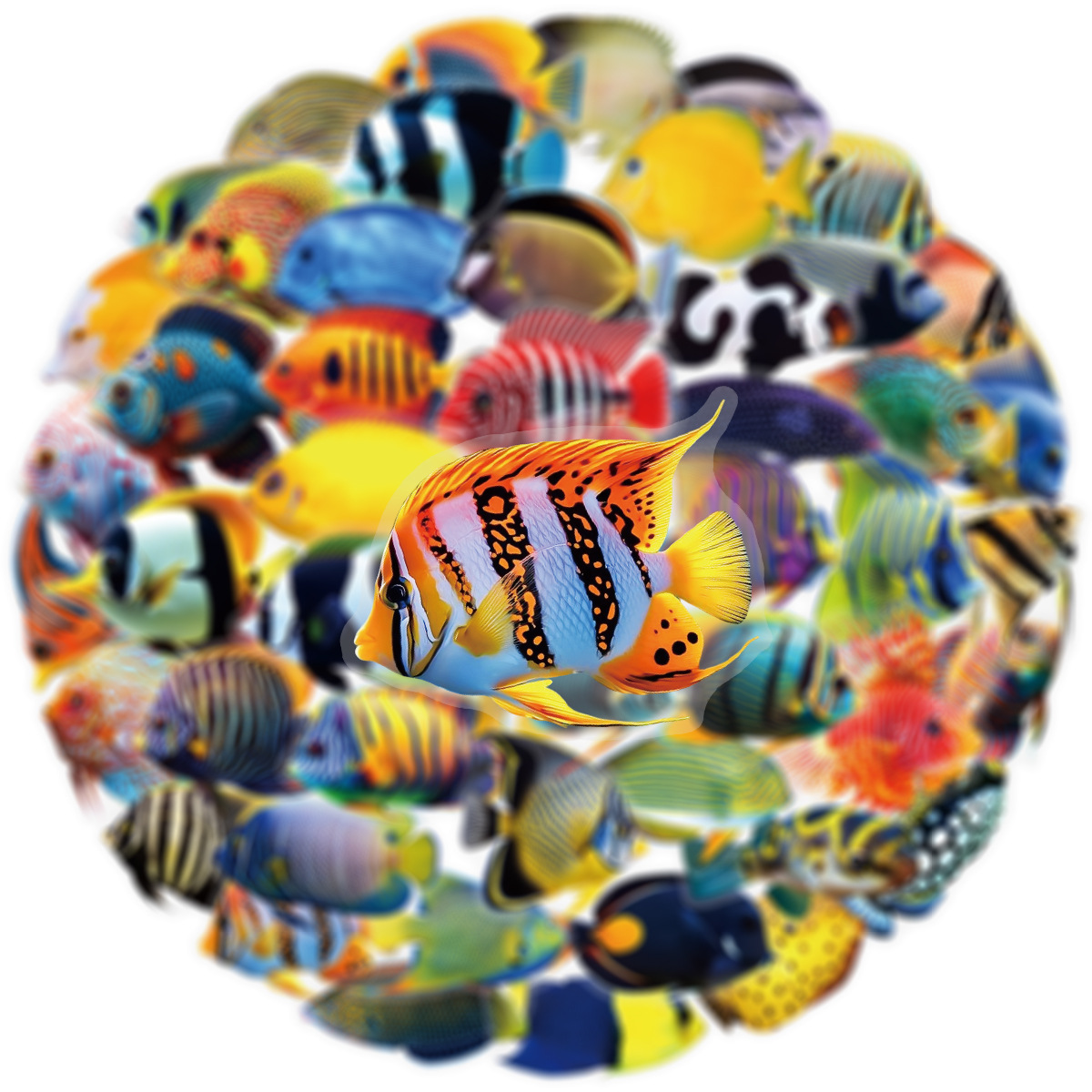 50/100 Pcs PET Transparent Mar - Aquarium Marine Fishes incelemesi ve fiyatı