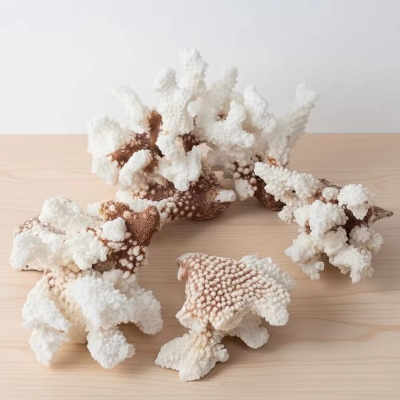 1pc Natural White Coral Cluste - Aquarium Marine incelemesi ve fiyatı