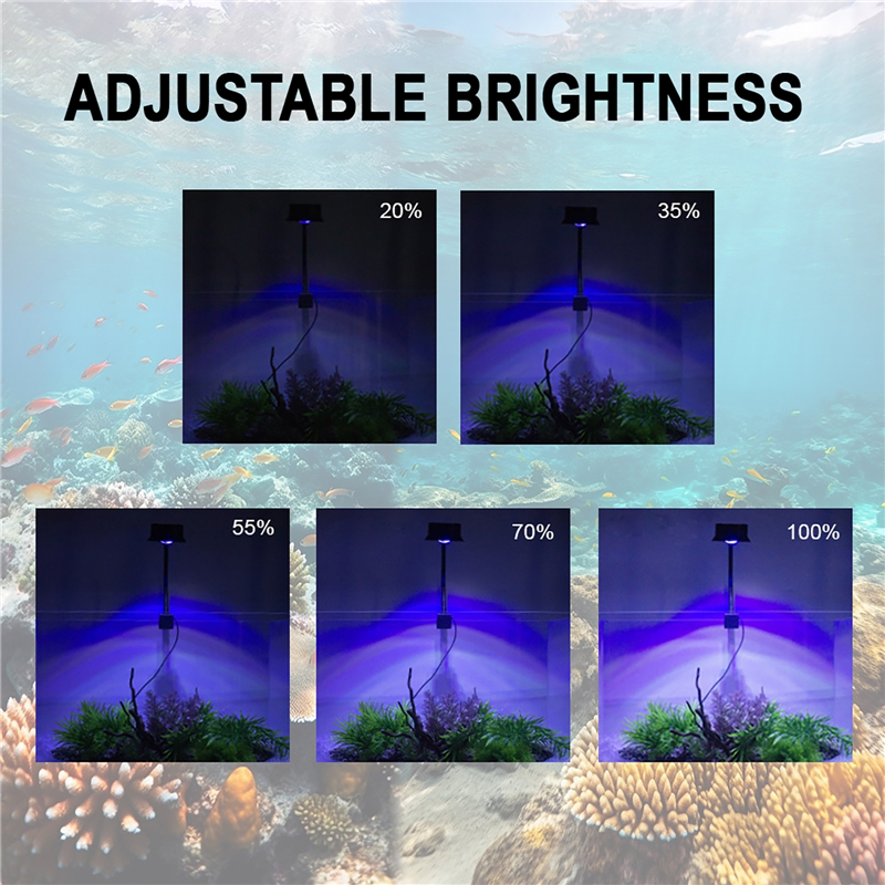 30W Aquarium Fish Tank Sea Wat - Aquarium Marine Fishes incelemesi ve fiyatı