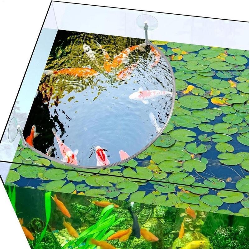 Floating Plant Corral Fish Fee - Aquarium Marine Filter incelemesi ve fiyatı
