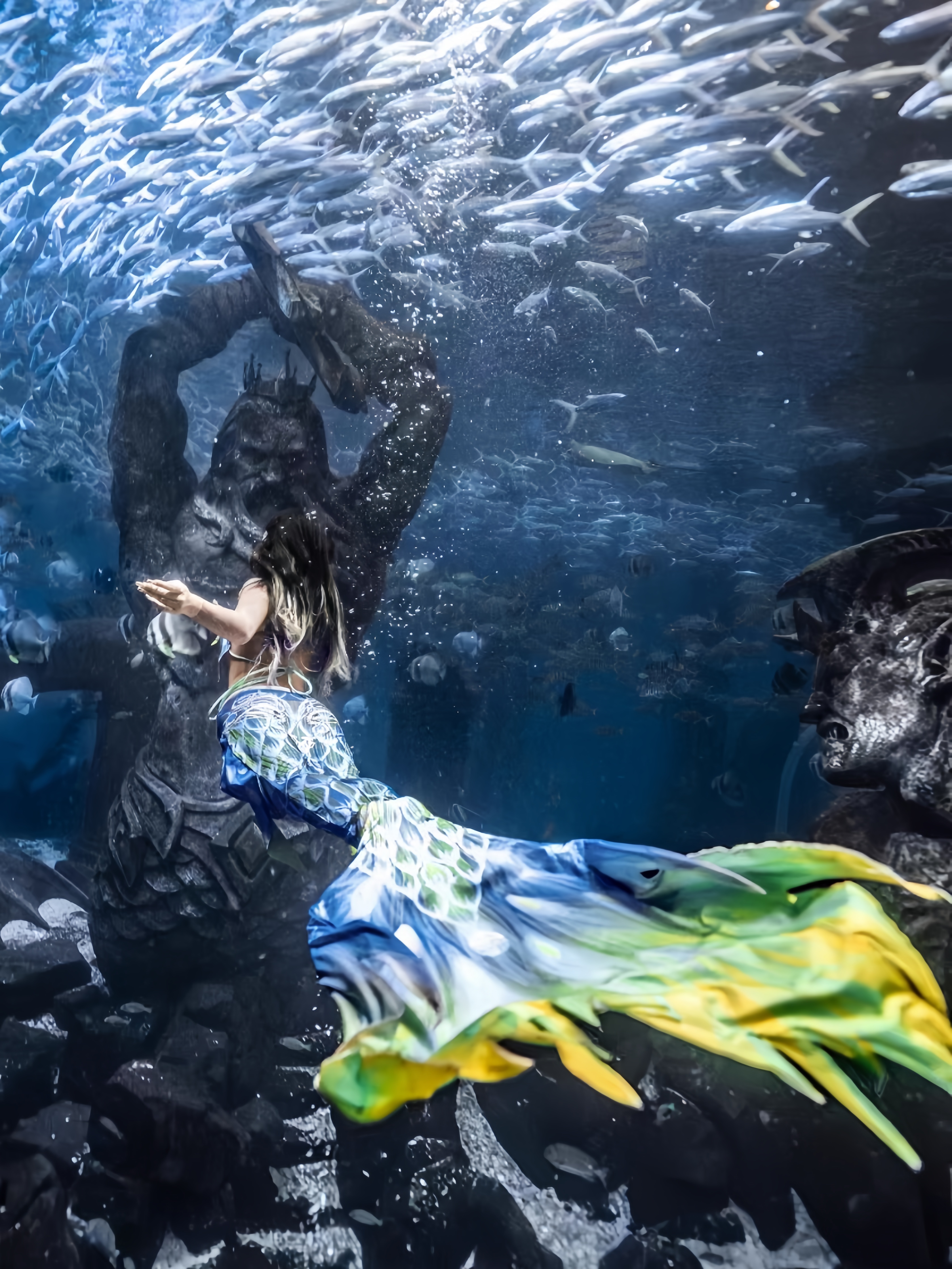 Mermaid Tail Adult Ladies Swim - Aquarium & Marine Science Center incelemesi ve fiyatı