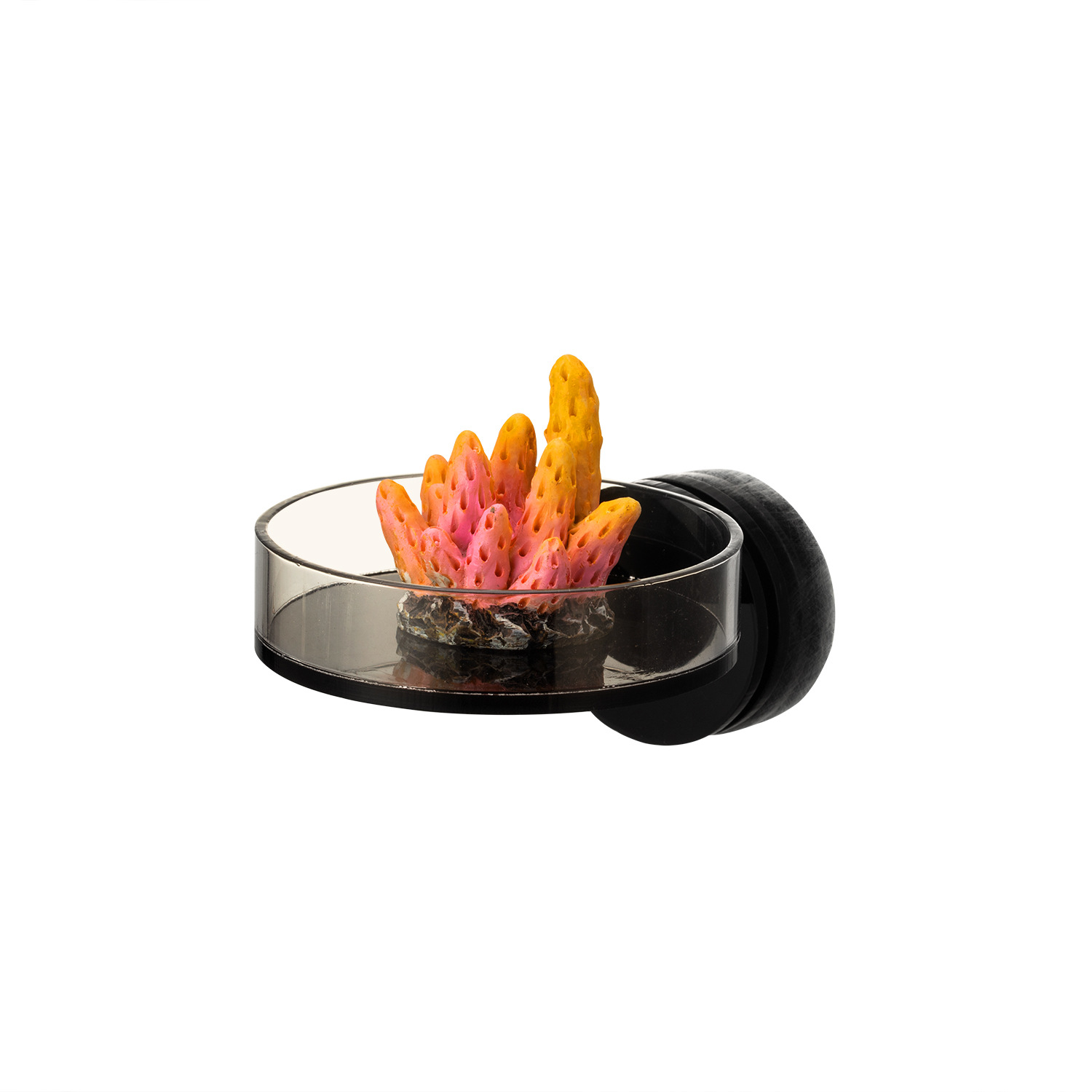 Marine Sources 70mm Black Magn - Aquarium Marine incelemesi ve fiyatı